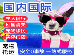 富蕴可可托海空运地址国际宠物托运 【国